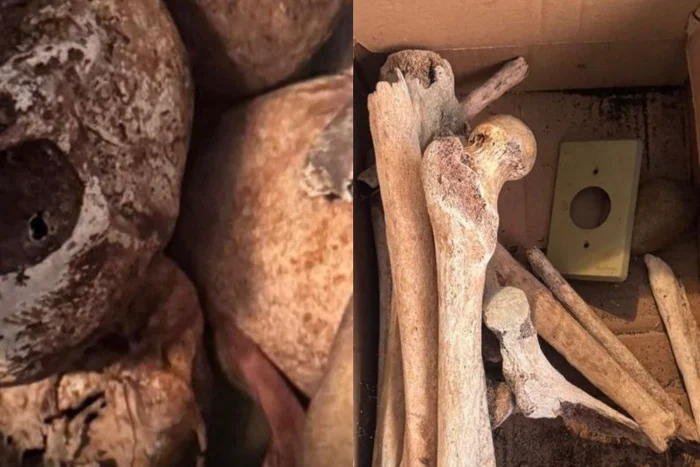 Polícia Militar do Estado de São Paulo / Divulgação