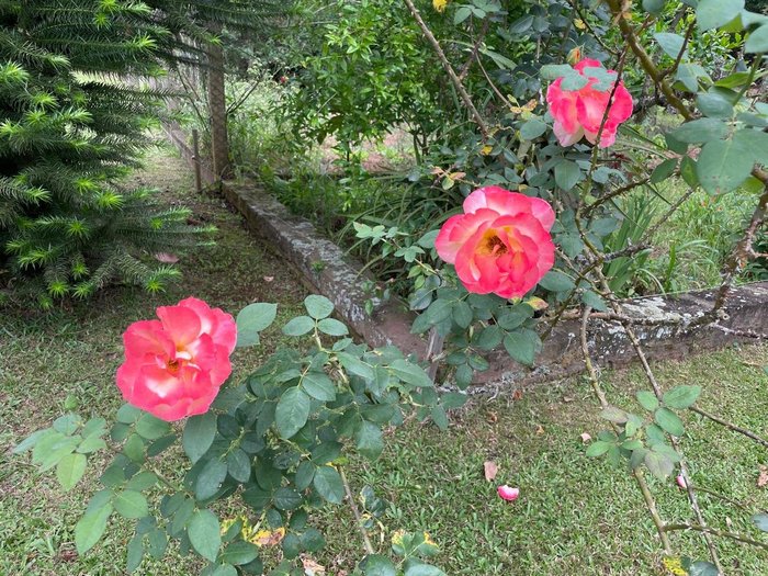 Rosane de Oliveira / Agência RBS