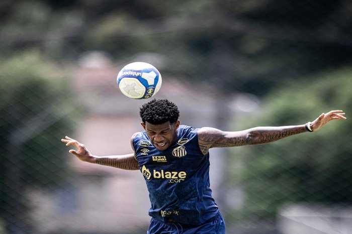 Raul Baretta / Santos FC Raul Baretta / Santos FC