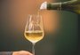 O que motivou cooperativa da Serra a lançar nova marca de vinhos e espumantes finos