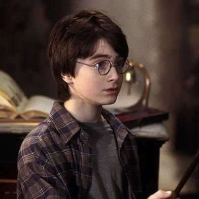 Harry Potter e a Pedra FilosofalTítulo original: Harry Potter and the Sorcerer's Stone2001<!-- NICAID(14946300) -->