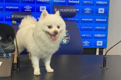 Apollo, pet de Thaciano no CT do Grêmio<!-- NICAID(15391056) -->