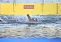 Australiana mantém domínio e é campeã dos 5 km, nas águas abertas no Mundial de Esportes Aquáticos