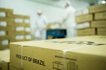 Embarques de carne suína brasileira alcançam volume recorde em 2020<!-- NICAID(14683774) -->