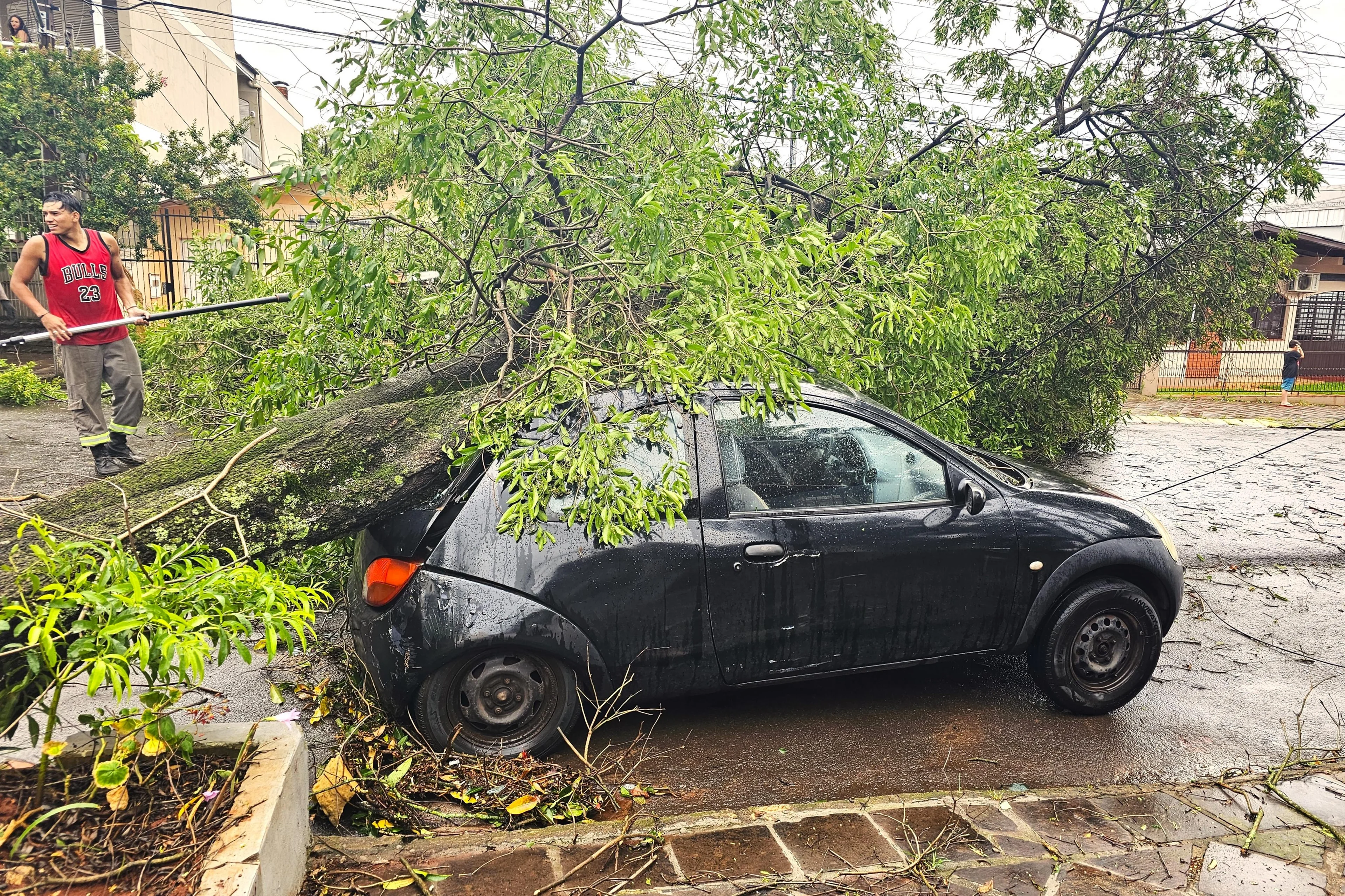 Tatiana Tramontina/Agencia RBS