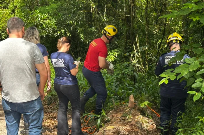 Polícia Civil / Divulgação
