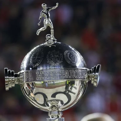 Taça da Libertadores da América<!-- NICAID(12480041) -->