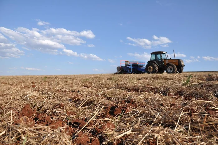 Diogo Zanatta / Especial