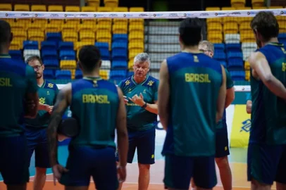 Renan Dal Zotto, vôlei