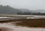 Por que a chuva intensa trará perdas importantes na produção do RS 