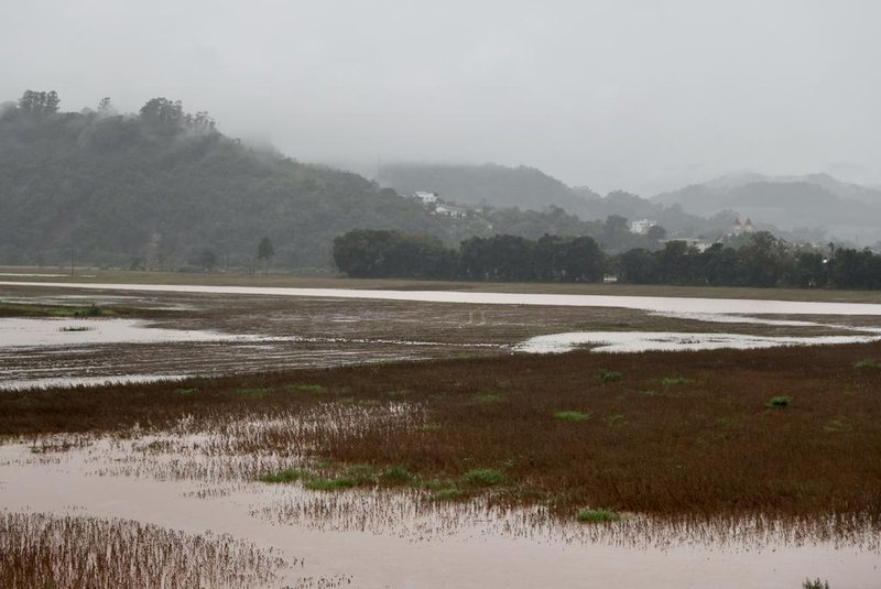 ROCA SALES, RS, BRASIL - 01/05/2024 - Chuva no RS: plantações ficam submersas após as cheias que atingem a região do Vale do Taquari. FOTO: JEFFERSON BOTEGA, AGÊNCIA RBS<!-- NICAID(15750129) -->