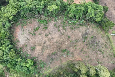 Polícia flagra mais de 66 mil metros quadrados de desmatamento no norte do RS<!-- NICAID(16054902) -->