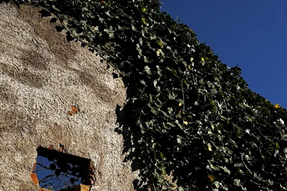 Don Claudino inaugura novo espaço para eventos sociais e corporativos. <!-- NICAID(16348008) -->