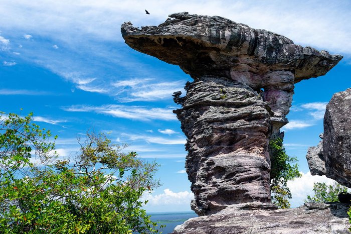 Antonio / stock.adobe.com Antonio / stock.adobe.com