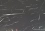 Observatório de Passo Fundo registra mais de 320 meteoros em poucas horas