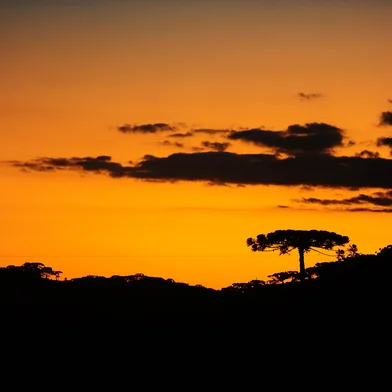 CAMBARÁ DO SUL, RS, BRASIL, 24/05/2022. A reportagem foi até o Cânion Itaimbezinho, no Parque Nacional Aparados da Serra, gerido pelo ICMBio e que está sob concessão da empresa Urbia Cânions Verdes. Entre as novidades, estão o passeio de bicicleta pela Trilha do Cotovelo e uma experiência de balão cativo. Na foto, o casal Michele Nascimento, 27 anos, e Maurício Ribeiro dos Santos, 28. (Bruno Todeschini/Agência RBS)<!-- NICAID(15106875) -->