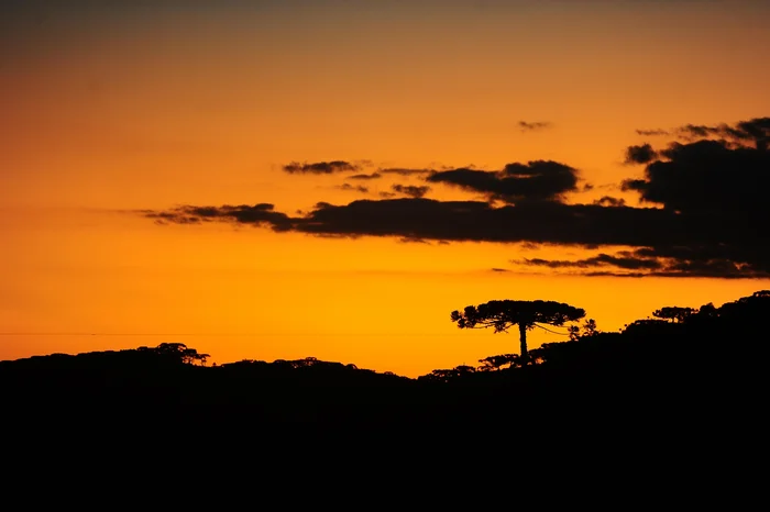 Bruno Todeschini / Agencia RBS