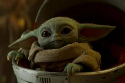 Star Wars: Mandalorian, The Child/A Criança/"Baby Yoda"<!-- NICAID(14640813) -->