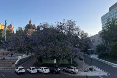 Praça da Matriz<!-- NICAID(15469239) -->