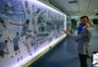 VÍDEO: Grêmio divulga imagens do primeiro dia de Rafinha no clube