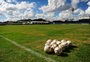 Clubes da Serra conhecem tabela detalhada da Divisão de Acesso