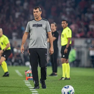 Fábio Carille, futebol, Vitória