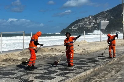 Após ondas gigantes, cinco pinguins aparecem mortos na orla do Rio