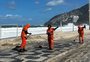 Após ressaca, cinco pinguins aparecem mortos na orla do Rio de Janeiro