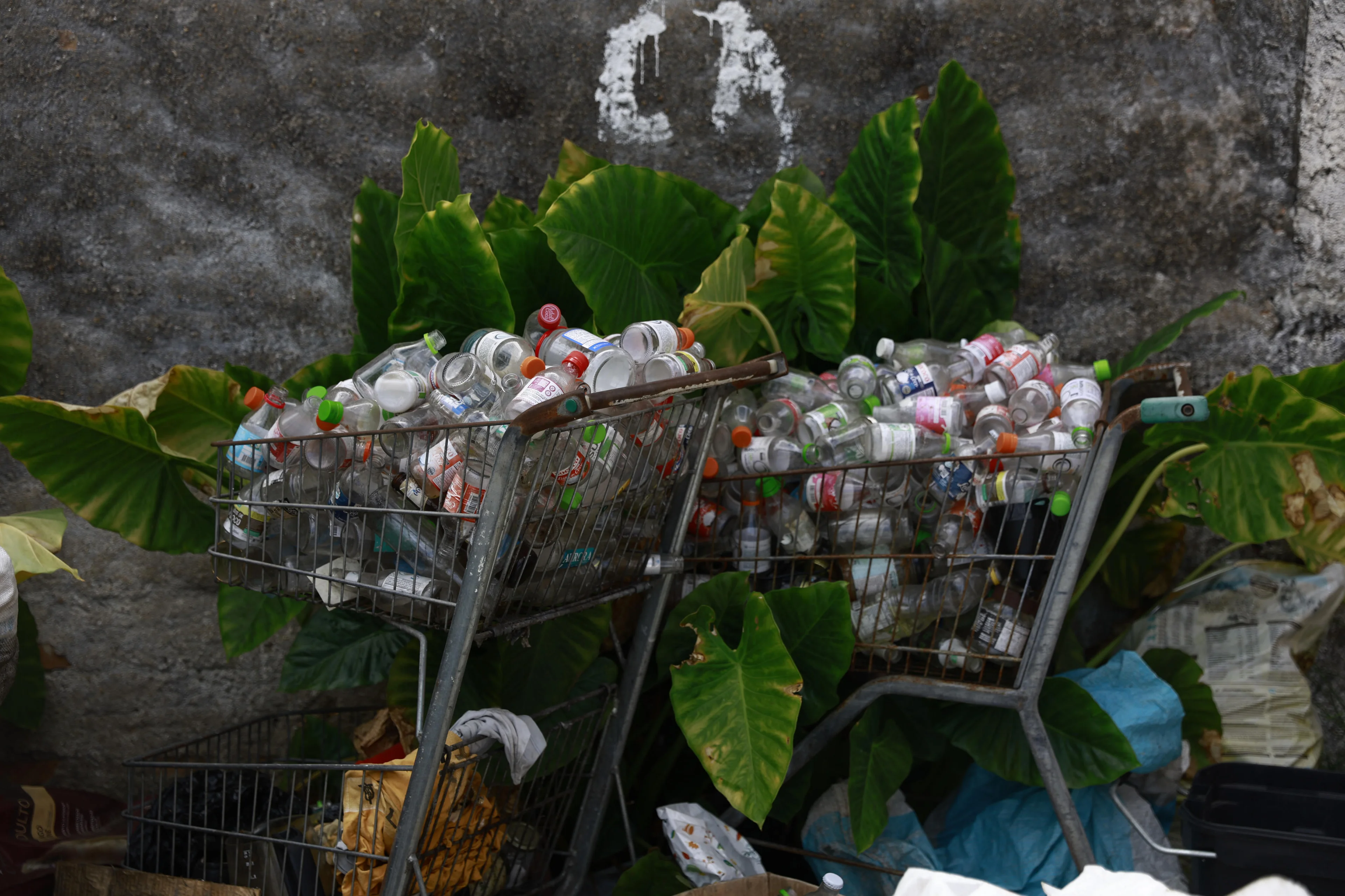 Jeff Botega/Agencia RBS