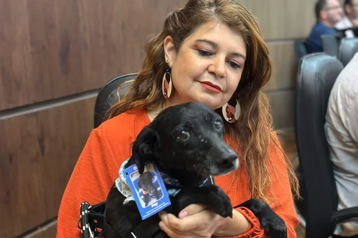 Fernanda Hartmann da Luz / Divulgação