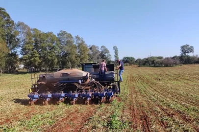 Produtores gaúchos iniciam plantio do milho<!-- NICAID(15513377) -->