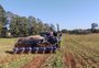 Qual será a área do milho na safra que começa a ser plantada no RS