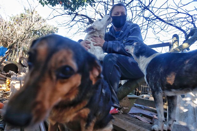 VIAMÃO, RS, BRASIL - 05.07.2021 - Suzy, moradora de Viamão, tem 30 cães em sua casa. Ela fala da falta de assistência da prefeitura para com a causa animal. Há 20 anos trabalha no apoio a animais em situação de vulnerabilidade. (Foto: Lauro Alves/Agencia RBA)<!-- NICAID(14825953) -->