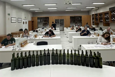 Vinte e sete vinhos produzidos em Flores da Cunha e Nova Pádua foram recomendados a receber o selo de Indicação de Procedência (IP) Altos Montes, certificação que garante origem, qualidade e tipicidade aos rótulos. A avaliação técnica nesta terça-feira (13) foi a maior já realizada desde a safra 2020 em número de amostras analisadas. <!-- NICAID(16203758) -->