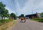 Cavalos soltos viram motivo de preocupação nos bairros de Passo Fundo 