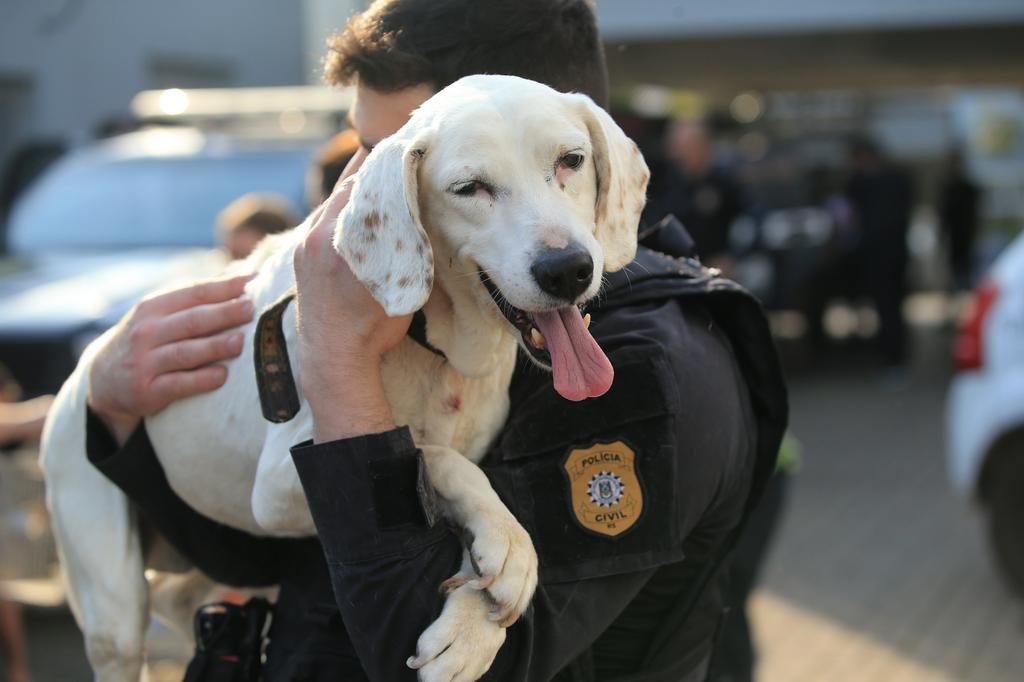 Operação Gato Preto reprime jogos de azar em Osório - Polícia Civil RS