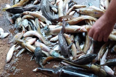 Homem é preso por poluir sanga e causar mortandade de peixes em Três Passos<!-- NICAID(15736110) -->