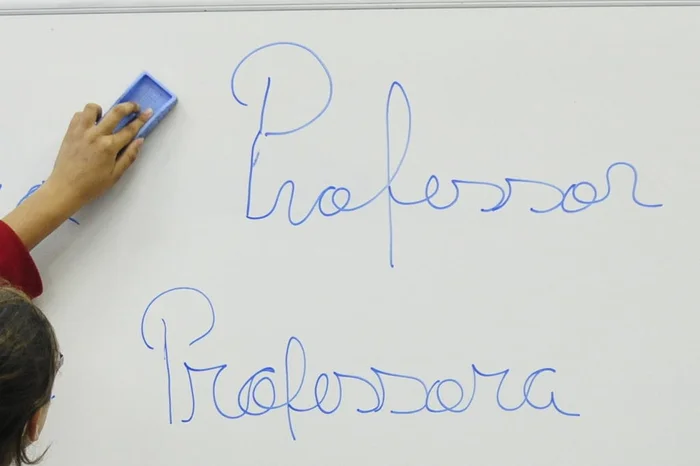 Luiz Armando Vaz / Agencia RBS Luiz Armando Vaz / Agencia RBS