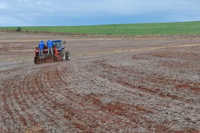 Plantio do trigo no RS em curva para driblar o excesso hídrico<!-- NICAID(16074440) -->