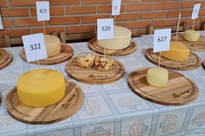 16 jurados avaliaram as 46 amostras inscritas no 2º Concurso Regional de Queijos Artesanais em Caxias do Sul<!-- NICAID(15997435) -->