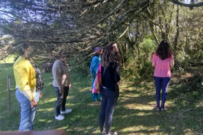 Atividade chamada "banho de floresta", promovida pela  startup Green Thinking em Porto Alegre<!-- NICAID(15903099) -->