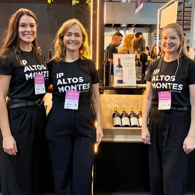Enólogas Janaína Massarotto, Fabiane Veadrigo e Graziela Boscato lançam vinho 3 Enólogas na Wine South America 2025. <!-- NICAID(16032010) -->