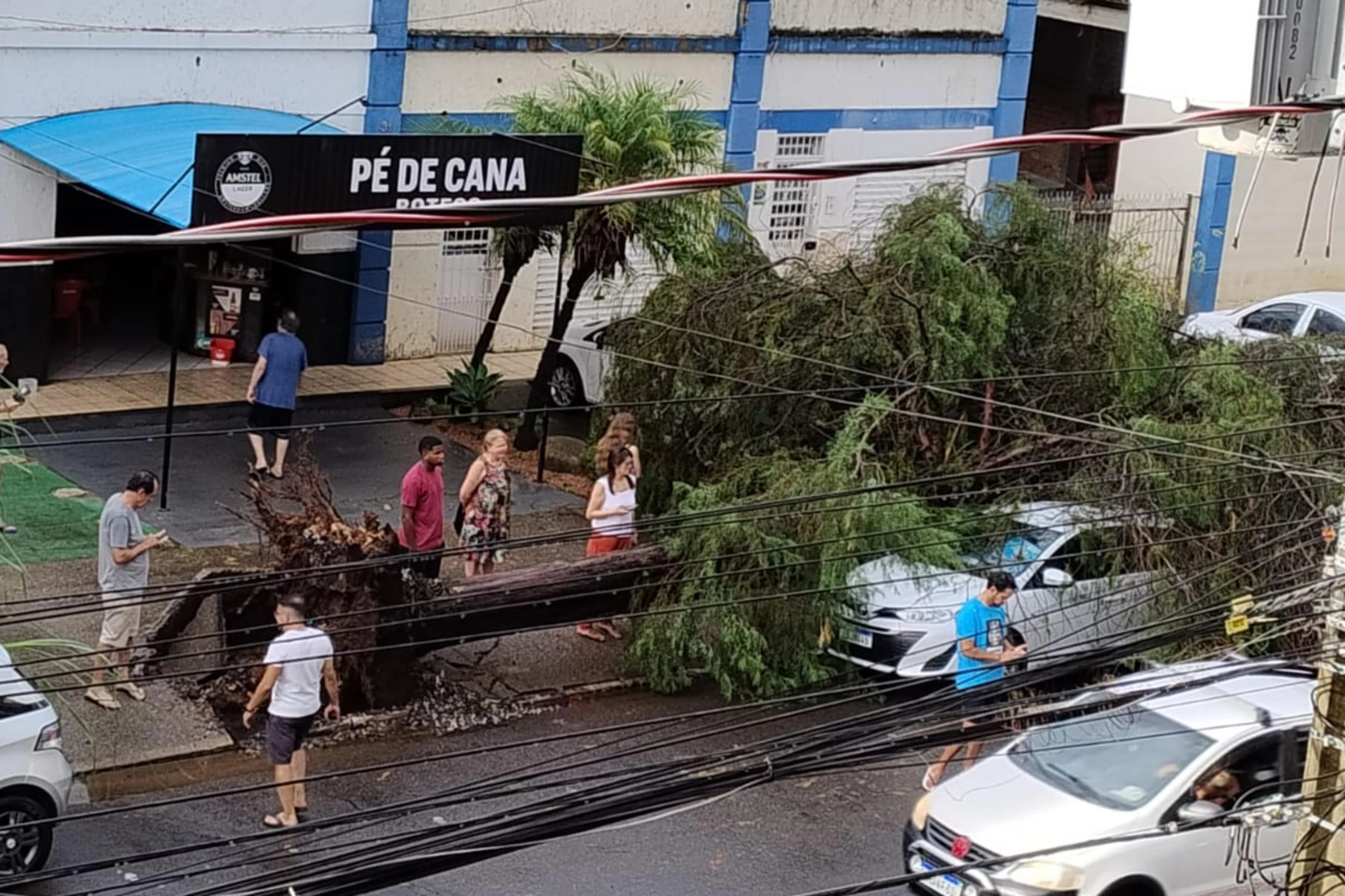 Marcia Valentim/Arquivo pessoal