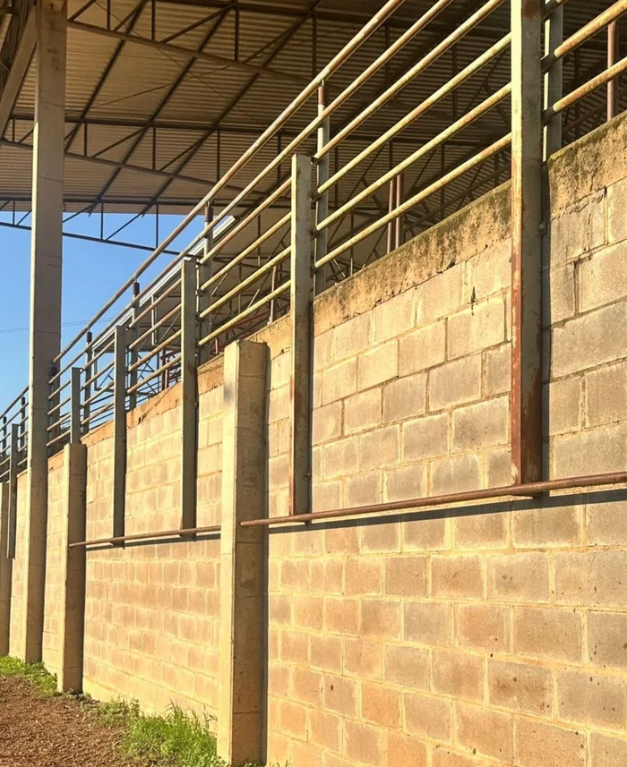 Eder Spohr/Câmara de Vereadores de Lajeado / Divulgação