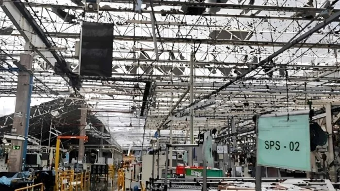 Reprodução Reprodução