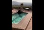 Urso mergulha em piscina de casa na Califórnia para fugir da onda de calor