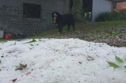 O interior de Ipê e Vacaria foi atingido por uma chuva de granizo no início da tarde desta terça-feira (27).Os vídeos disponibilizados por moradores mostram o chão coberto pelas pedras de gelo. Nas fotos, imagens feitas na comunidade de Porteirinha, interior de Ipê.<!-- NICAID(15305906) -->