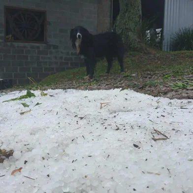 O interior de Ipê e Vacaria foi atingido por uma chuva de granizo no início da tarde desta terça-feira (27).Os vídeos disponibilizados por moradores mostram o chão coberto pelas pedras de gelo. Nas fotos, imagens feitas na comunidade de Porteirinha, interior de Ipê.<!-- NICAID(15305906) -->