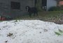 VÍDEO: granizo provoca estragos em lavouras no interior de Ipê e Vacaria