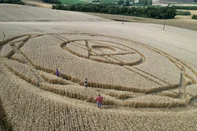 Agroglifo em Ipuaçu, em Santa Catarina, em novembro de 2025<!-- NICAID(16162008) -->